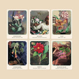 The Flower Oracle: 44 Card Tarot Deck