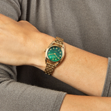 Shinola | 30.5mm Derby Watch