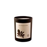 Wilkin & May | Hyperion Candle