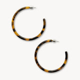Large Hoops, Classic Tortoise