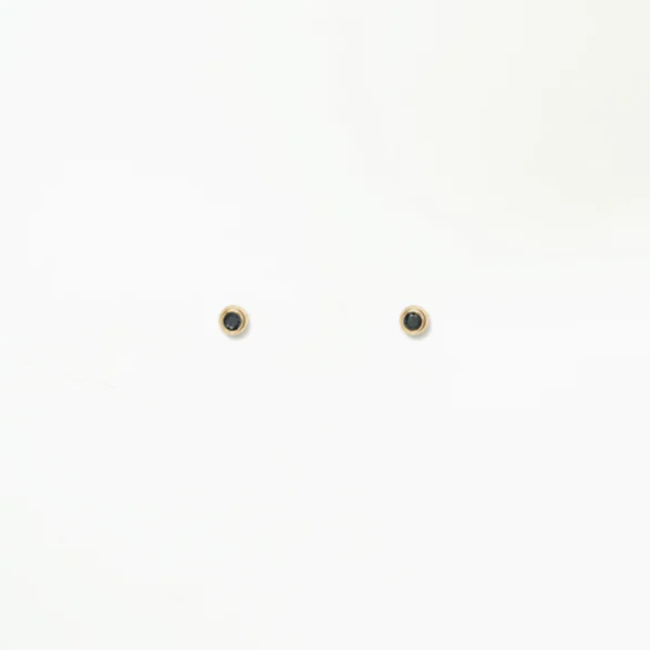 Wwake gold stud earrings with black diamonds, front view