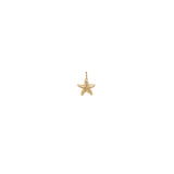 Zoe Chicco gold starfish charm, front view