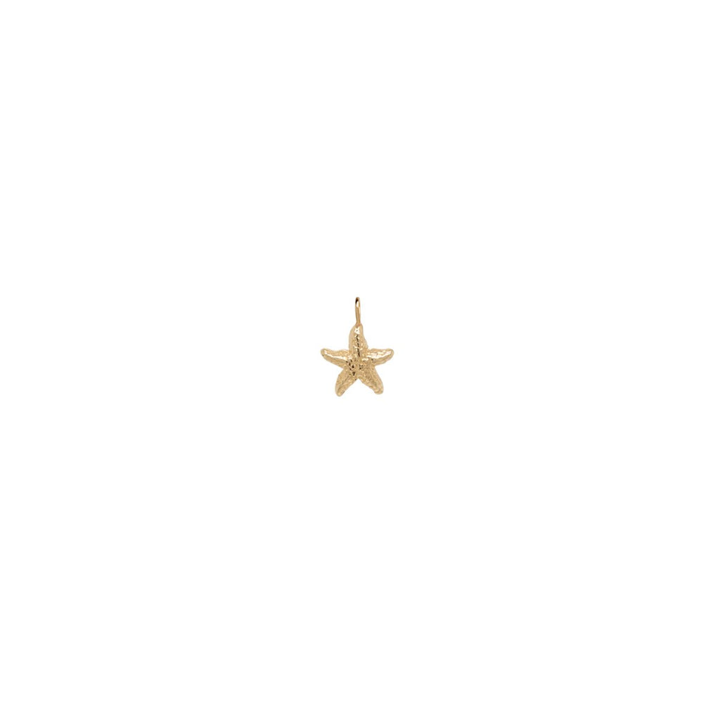 Zoe Chicco gold starfish charm, front view