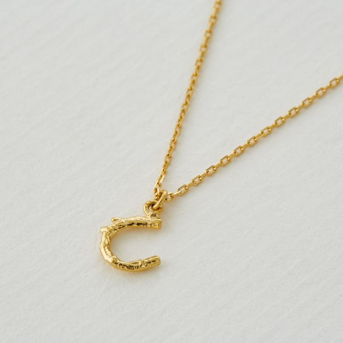 Alex Monroe gold necklace with horseshoe pendant, front view