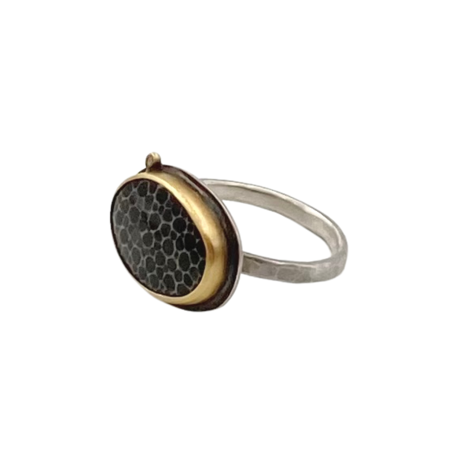 Ananda Khalsa silver ring with black fossil, gold, and diamond, angled front view