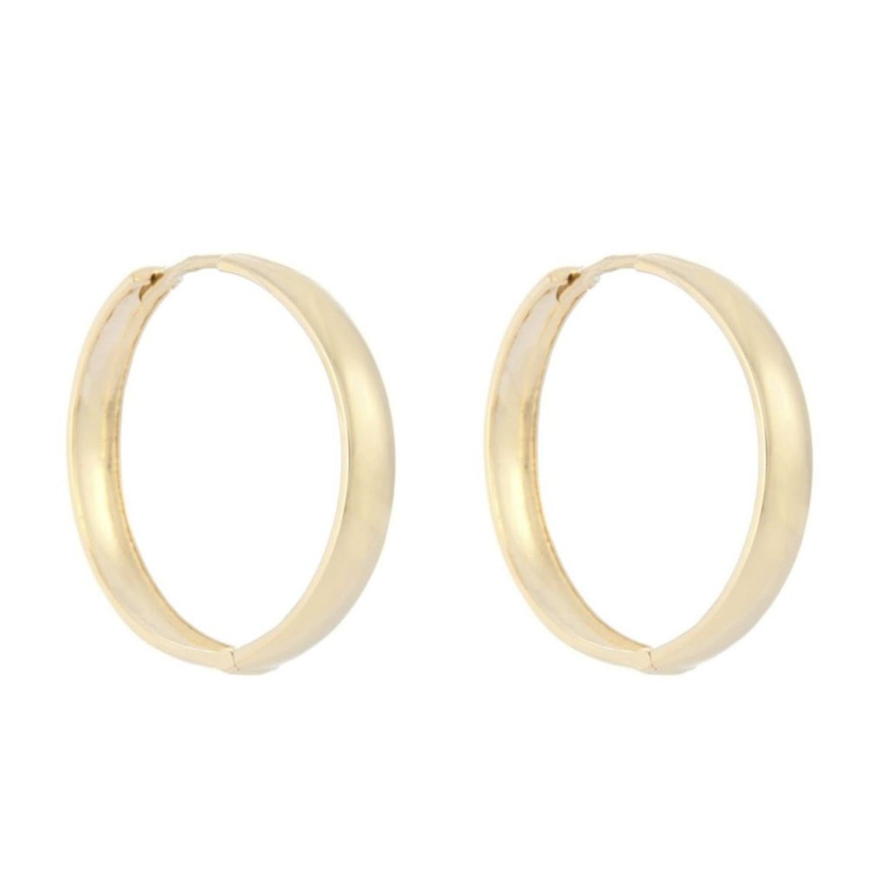Skinny Tire Hoop Earrings
