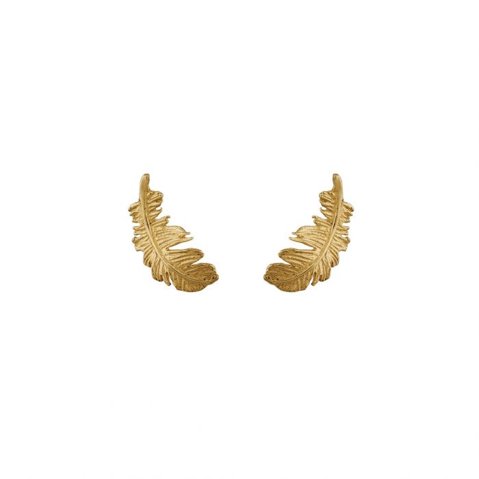 Alex Monroe gold stud feather earrings, front view