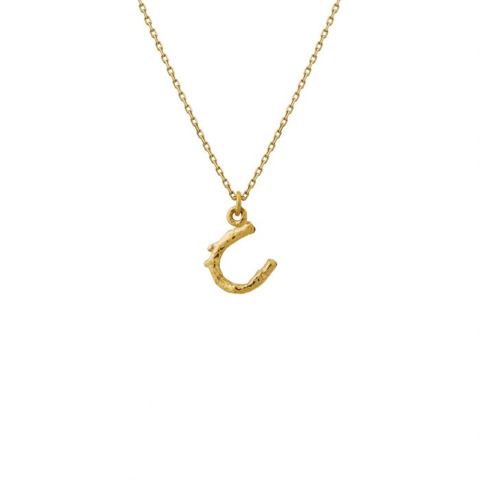 Alex Monroe gold necklace with horseshow pendant, front view